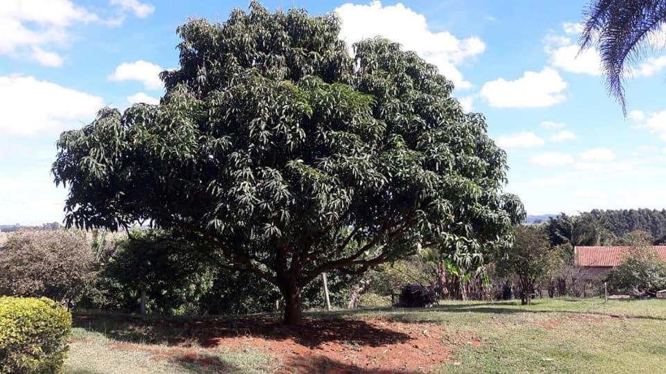 Sitio Em Atibaia - Sitio Beija-Flor Vila Exterior foto